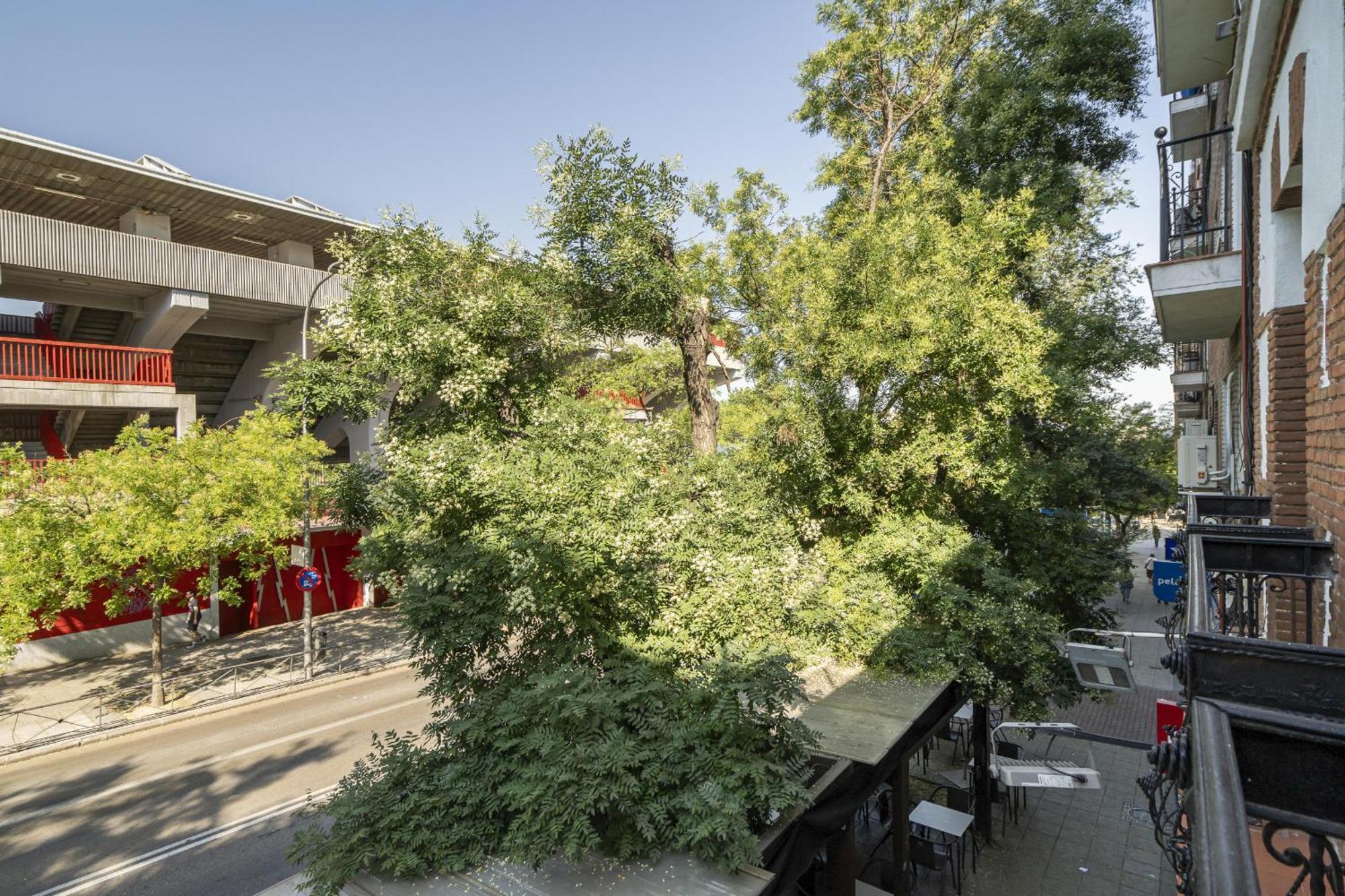 מדריד Apartamentos En La Avda De La Albufera Alquiler Temporal מראה חיצוני תמונה